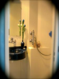 uma casa de banho com um lavatório e um vaso com flores em Auberge Magnette em Audes
