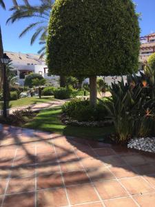 einen Gehweg mit einem Baum und einer Palme in der Unterkunft 2 bed Apartment in San Pedro Marbella in Marbella