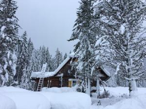 Obiekt Almhütte zimą