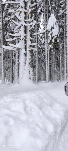 Obiekt Almhütte zimą