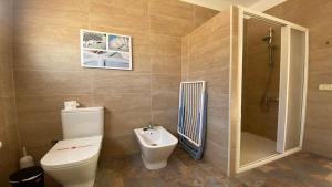 a bathroom with a toilet and a shower and a sink at Casa Camilo I in Valle Gran Rey