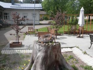 een boomstronk met een mand erop bij Ulrikanhovi in Lovisa
