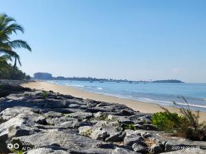 a beach with a palm tree and the ocean at His Grace BEACH Cottages - Private Beach at MALPE in Udupi +34 photos