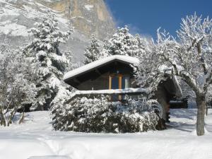 domek pokryty śniegiem, drzewami i górą w obiekcie Chalets du Vieux Frêne w mieście Saint-Hilaire