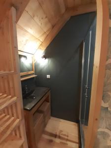 a bathroom with a glass shower and a sink at Les Burons du Mont-Dore in Le Mont-Dore +11 photos