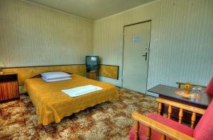 pokój hotelowy z łóżkiem i telewizorem w obiekcie Karet Obiekt Hotelowy w mieście Skoczów