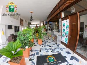 un restaurante con macetas en el suelo en Hotel Caquetá Real HSC, en Florencia
