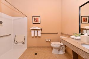 Uma casa de banho em Holiday Inn Express & Suites Van Buren-Fort Smith Area, an IHG Hotel