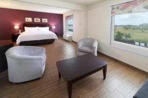 Imagem da galeria de Holiday Inn Reynosa Industrial Poniente, an IHG Hotel em Reynosa