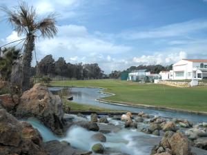 a river with rocks and a palm tree and a golf course at Parador de Málaga Golf in Málaga
