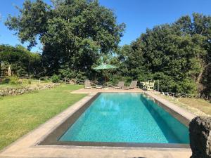 a swimming pool in a yard with chairs and an umbrella at podere campanella in Viterbo