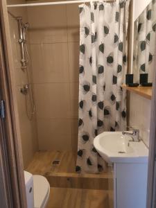a bathroom with a sink and a toilet and a shower at Agrochalupki in Korczowa +71 photos