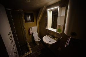 uma pequena casa de banho com WC e lavatório em Tornik Brvnara Ljubojevic em Tornik