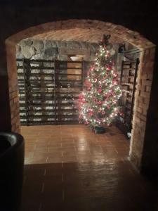 a christmas tree in a room with a wine cellar at Pałac Pacółtówko in Pacółtówko