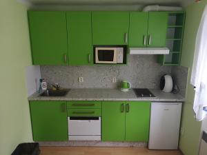 リプノ・ナト・ヴルタヴォウにあるApartman Alesのキッチン(緑のキャビネット、電子レンジ付)