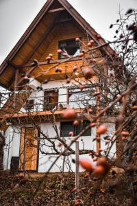 Budova, v ktorej sa dovolenkový dom nachádza