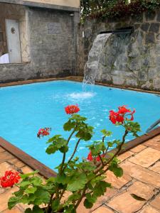 a swimming pool with a waterfall and a plant at Pousada Locomotiva 206 in Conservatória