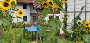Ein Garten an der Unterkunft Haus mit stilvoller Ferienwohnung und Tiny House nahe Ammersee für 2-6 Personen