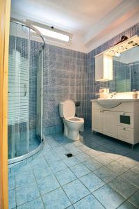 a bathroom with a toilet and a shower and a sink at Villas Nies in Soúrpi +68 photos