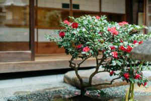 a small tree with red flowers in front of a building at Toshiharu Ryokan in Kyoto +37 photos