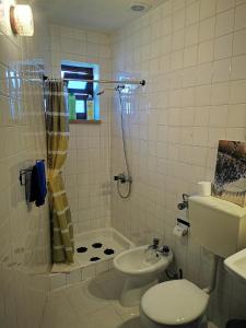a bathroom with a toilet and a shower and a sink at Óbidos - Casa do Castelo in Óbidos