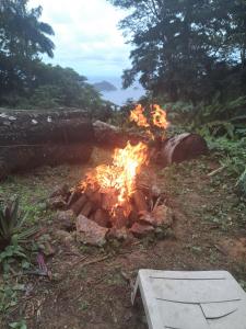 a fire pit in the yard with flames at Tony's Offgrid Cabin Getaway in Scarborough