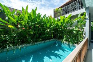 a swimming pool in front of a building with plants at EUFORIA Guest House in Canggu