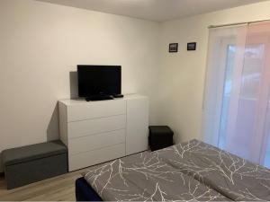 TV a/nebo společenská místnost v ubytování Ferienwohnung Eichinger