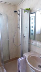 La salle de bains est pourvue d'une douche et d'un lavabo. dans l'établissement Appartement Ilse Herbert, à Wurtzbourg