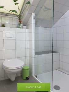 a white bathroom with a toilet and a shower at Eurovelo6 Stop in Solt