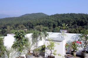 a white wall with plants on it with a mountain in the background at Hotel Forest Avenue - Best Luxury Hotel in Dehradun in Dehradun