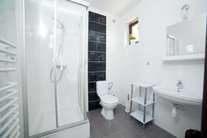 a bathroom with a shower and a toilet and a sink at Willa Północna II in Karwia +43 photos