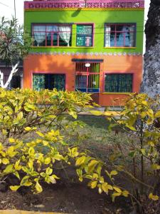 un bâtiment orange et vert avec des arbres devant lui dans l'établissement La Frida Casa Mexicana Lila 2o piso, à Mexico