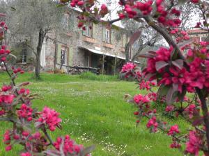 a garden with pink flowers in front of a building at Il Giardino delle Esperidi in Fosdinovo