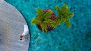 Сад в LUX* Le Morne Resort