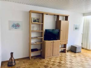 a living room with a tv and a book shelf at Grosszuegige Ferienwohnung in ruhiger Lage in Fulda