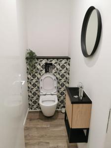 a bathroom with a toilet and a mirror at Les Cottages Barisiens in Bar-le-Duc +12 photos