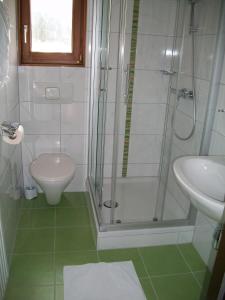 a bathroom with a shower and a toilet and a sink at Pension Zechnerhof in Sankt Georgen ob Murau