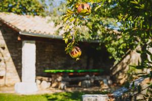 Zahrada ubytování Arbalovija Rustic Villa