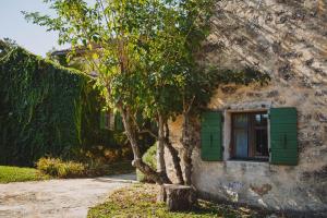 Zahrada ubytování Arbalovija Rustic Villa