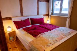 a bedroom with a bed with red pillows and a window at Ferienwohnungen Muehlenblick in Röbel