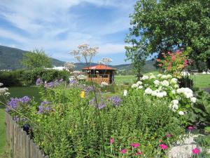 Příroda nedaleko farmy