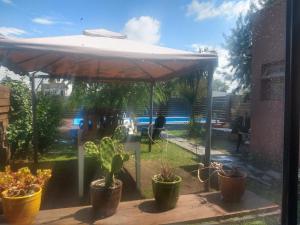 Bazén v ubytování CASA QUINTA nebo v jeho okolí + 21 fotografií