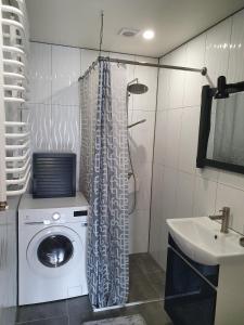 路茨克的住宿－Квартира з чердаком 2，一间带盥洗盆的浴室内的洗衣机