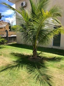 een palmboom werpt een schaduw op het gras bij Il Pevero Condominio AC in Porto Seguro