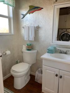 a bathroom with a white toilet and a sink at Salty Poodle Cottage in Freeport +18 photos