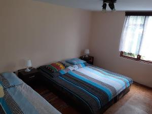 um quarto com 2 camas e uma janela em Forest Villa- domki em Susiec