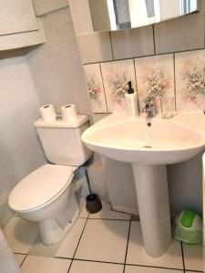 een badkamer met een toilet en een wastafel bij Appartement T1 bis quartier du château de Pau in Pau