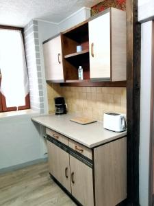 een keuken met houten kasten en een aanrecht bij Appartement T1 bis quartier du château de Pau in Pau