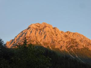 a tall mountain with trees in front of it at Oberrainbauer in Kleinarl